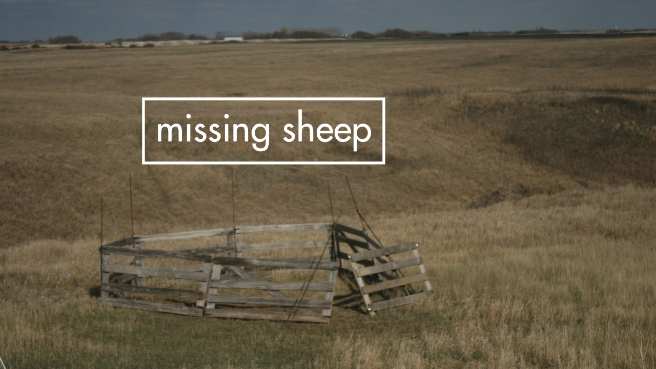 Missing Sheep - Keep Live Stock in Fence